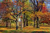 Arboretum Autumn_00285